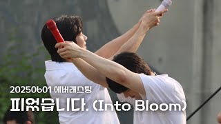[엔플라잉] 250601 스페셜라이브 에버래스팅 ‘피었습니다‘(focus 이승협 유회승)