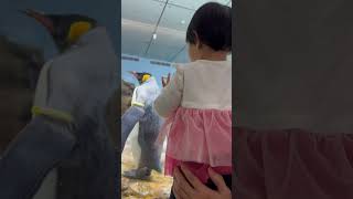 睡覺的企鵝 #funny #love #cute #baby #cutebaby #penguin #sleep #funny #fun #happy #park #birds #white