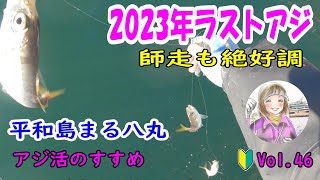 アジ活のすすめVol.46（平和島　まる八丸）