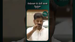 గుడుంబా కు మరీ ఇంత స్వేచ్ఛనా | #revanthreddy #gudumba #shorts