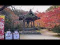 youtuber キッシー®︎京都紅葉速報②🍁🍁槇尾山西明寺