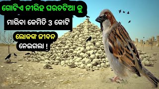 ପୃଥିବୀ ଇତିହାସର ସବୁଠୁ ବଡ ଭୁଲ୍ (ହୋସ୍ ଉଡେଇଦେଲା ଭଳି ଘଟଣା) || Worst Mistake in history of Chinese Economy