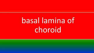 basal lamina of choroid