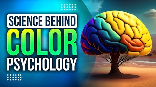 Color Psychology: Understanding the Impact of Colors on our Mind