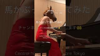 【完全耳コピ】【弾いてみた】steinwayで弾いてみた　中央競馬　ファンファーレ　東京　中山　重賞＃ぴろこピアノ＃中央競馬#馬かぶって弾いてみた#ミリしら