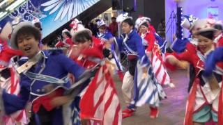 勇舞会（Ⅱ）＠2015　ワカバウォークよさこい