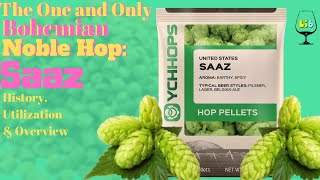 Saaz / Zatec Cheml: Hop Overview