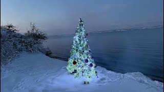 🎄 A Magical Christmas Night on the Lake Shore 🌊❄️ (SHORT VERSION)