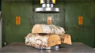 Can You Dry Firewood With Hydraulic Press?