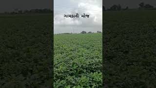 🌴રૂડું રૂપાળું મારું ગામડું 🌳#short