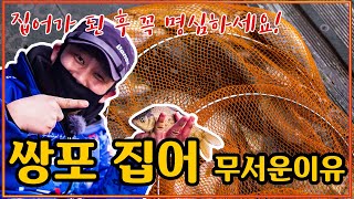 쌍포가 집어 되면 무서운 이유? #민물낚시대 #직두리낚시터