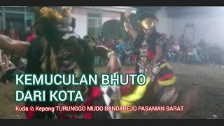 KEMUNCULAN BUTO DARI KOTA KUDA KEPANG@TURUNGGO MUDO BANDAREJO