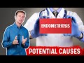 What Causes Endometriosis?