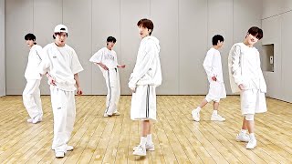 TWS - 'Adore U (SEVENTEEN)’ Dance Practice Mirrored