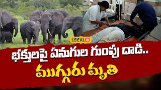 Elephants Attack in Annamayya District | భక్తులపై ఏనుగుల గుంపు దాడి | #local18