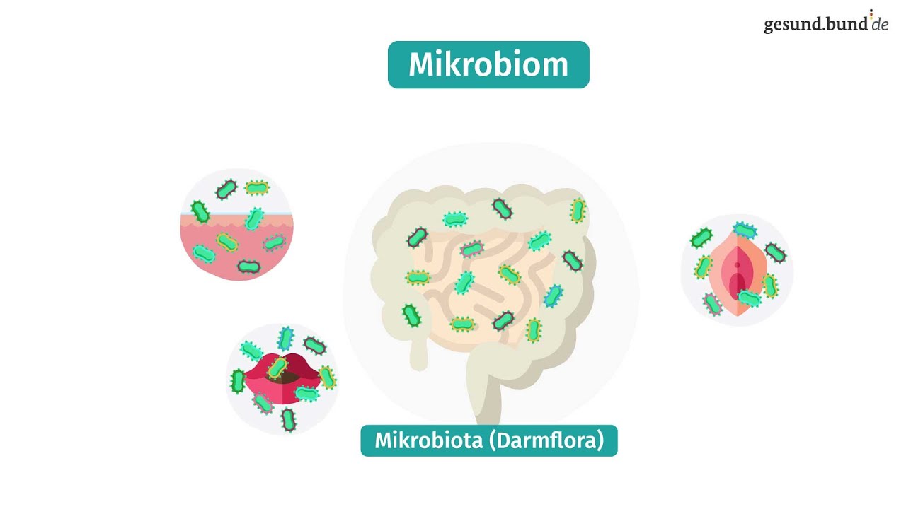 Was Ist Das Mikrobiom? - YouTube