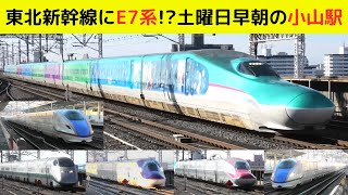 【新幹線　高速通過】東北新幹線にE7系!? 土曜日早朝の小山駅！  #shinkansen #新幹線 #小山