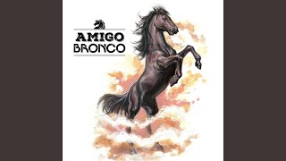 Amigo Bronco