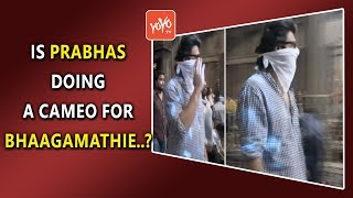 Is Prabhas Doing A Cameo For Bhaagamathie..? |  Anushka shetty | Director G Ashok | YOYO Times