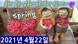 21년4월22일(감동다육화분 주문전화 : 010-8908-2503)  다양한 예쁜화분들의 매력을 느껴보세요~^^ #감동다육화분#다육화분#수제화분