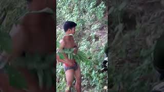 Tripura King Xxx Porn | Sex Pictures Pass