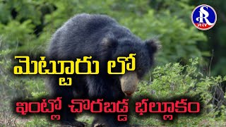 పాడుబడ్డ ఇంట్లో చొరబడ్డ ఎలుగుబంటి.. srtvnews