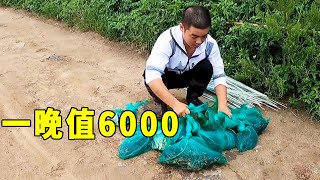 It's really a rebellious resource. You can earn 6000 yuan in one night and make a big fortune [Pu N