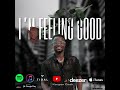 Konyon Cash- I'm Feeling Good ( Official AUDIO )