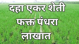 दहा एकर शेती 15 लाखात #agriculturalland #agriculturalproperty #agriculturalproperty #agricul