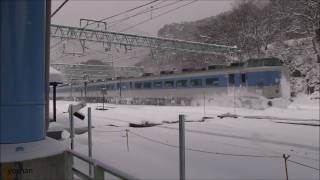 (大雪で大幅に遅れ) ムーンライトえちご (昼間の上越線を走行) NSB Night Train