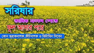 সরিষার ফলন বৃদ্ধির কৌশল।   সরিষার ফুল আসার পরে কি ছত্রাক নাশক, কীটনাশক ও ভিটামিন দিবেন।সরিষা চাষ