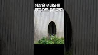 쉬샹은 푸바오를 당근으로 유인했다