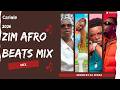 ZIM AFROBEATS MIX 2026 🇿🇼 Best New Zimbabwean Music (ft Tytie, Atenda Chinx Nox, MTG Hustler & more)