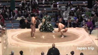 【これぞ宇良の妙技】 宇良 vs 玉飛鳥 2016大相撲春場所3日目 Kisenosato vs Toyonoshima SUMO 2016 March