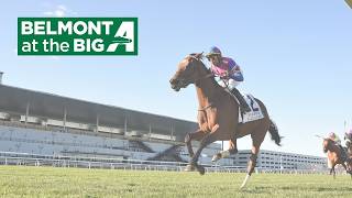 Talking Horses - May 22, 2026