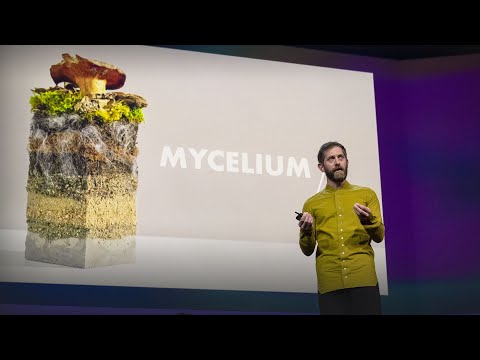 The future of fashion – Made from mushrooms Dan Widmaier TED
