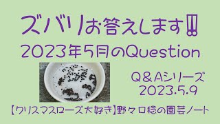 ズバリお答えします‼️ 2023年5月の Question