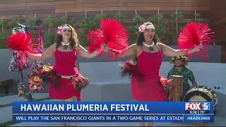 Hawaiian Plumeria Festival