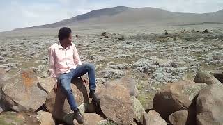 @Tulu Dimtu , Bale Ethiopia