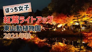 【ぼっち女子】東山動植物園紅葉🍁ライトアップ✨へ行く