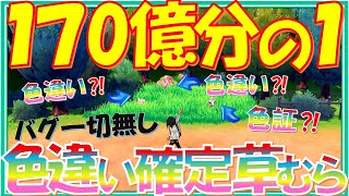 【170億分の1】夢のような『色違い確定草むら』を作ってみた【ポケモン剣盾】【ゆっくり実況】！