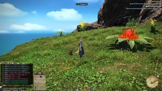 FINAL FANTASY XIV Island Sanctuary - Paissa