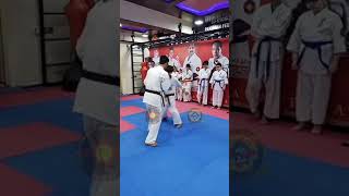 So-Kyokushin Karate Shadow Fight & Show fight