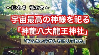 ～熊本県 菊池市～ 宇宙最高の神様を祀る「神龍八大龍王神社」⛩🐉🌳 九州パワースポット巡り✨