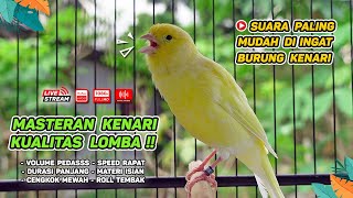 Pancingan Suara Kenari Gacor‼️ Ampuh untuk Masteran Kenari Muda dan Terapi Kenari Macet Bunyi | 313