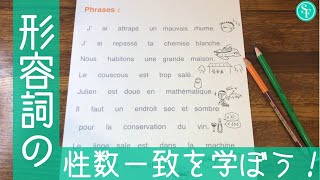 形容詞の性数一致を確認！【フランス語】