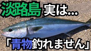 【第1弾】「淡路島青物釣れません...」アングラーの声を解決！