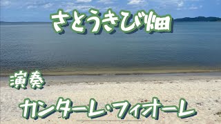 「さとうきび畑」オカリナ演奏