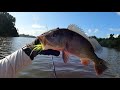 journey to chinee landing camping u0026 fishing expidition