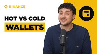 Hot vs Cold Wallets: What's Better to Store Crypto?